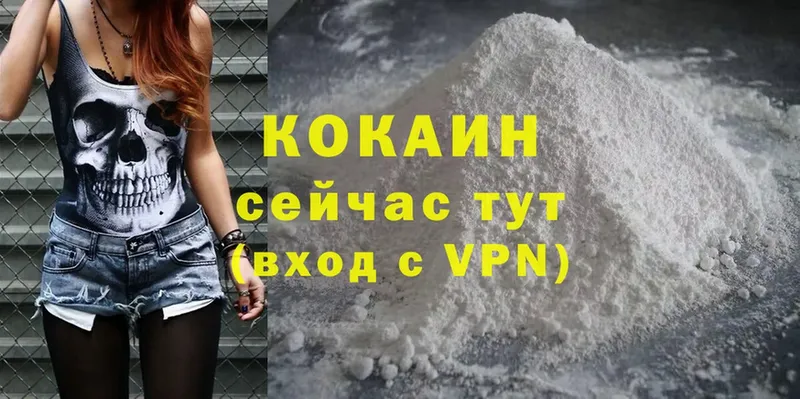 MEGA ссылки  как найти закладки  Миллерово  Cocaine Fish Scale 