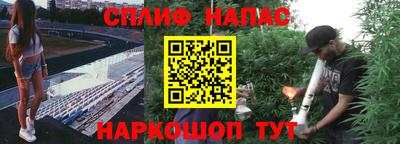 прущие крисы Кандалакша