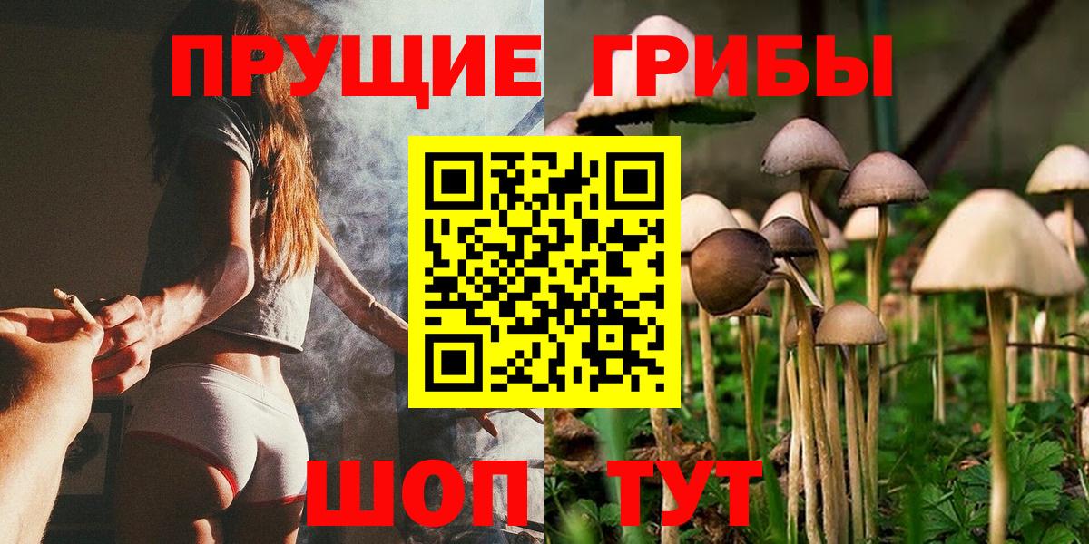 Псилоцибиновые грибы GOLDEN TEACHER  Вход с VPN  Миллерово 