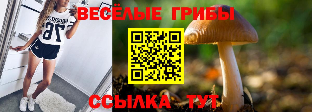 Галлюциногенные грибы мицелий Миллерово